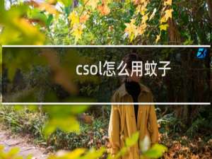 csol怎么用蚊子