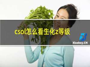 csol怎么看生化z等级