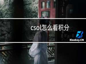 csol怎么看积分