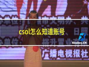 csol怎么知道账号