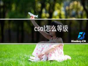 csol怎么等级