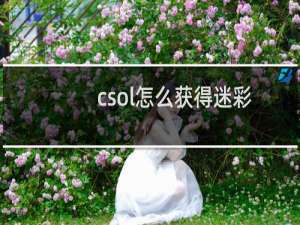 csol怎么获得迷彩