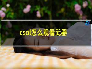 csol怎么观看武器