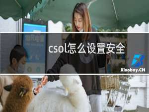 csol怎么设置安全