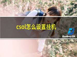 csol怎么设置挂机