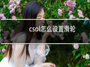 csol怎么设置滑轮