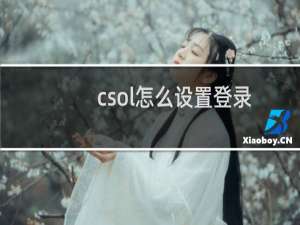 csol怎么设置登录