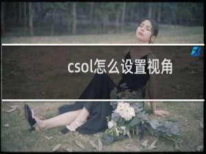csol怎么设置视角