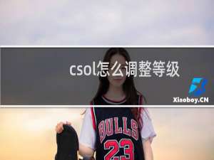 csol怎么调整等级