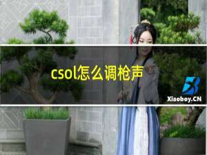 csol怎么调枪声