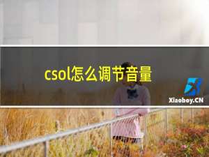 csol怎么调节音量