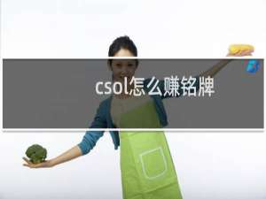 csol怎么赚铭牌
