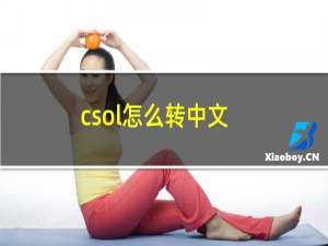 csol怎么转中文