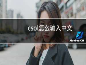 csol怎么输入中文