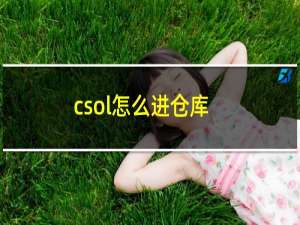 csol怎么进仓库