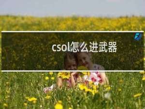 csol怎么进武器