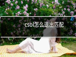 csol怎么退出匹配