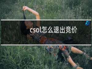 csol怎么退出竞价