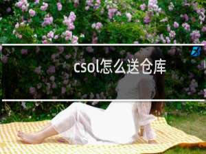 csol怎么送仓库