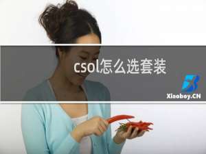 csol怎么选套装