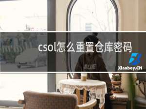 csol怎么重置仓库密码