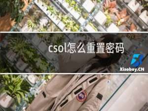 csol怎么重置密码
