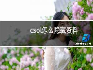 csol怎么隐藏资料