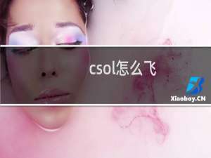 csol怎么飞