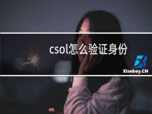 csol怎么验证身份
