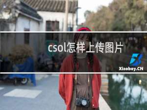 csol怎样上传图片
