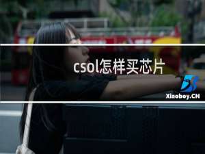 csol怎样买芯片