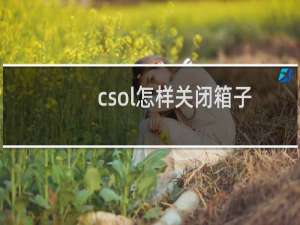 csol怎样关闭箱子
