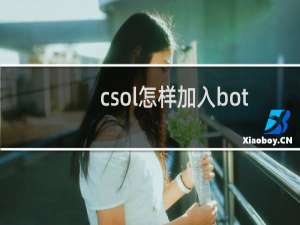 csol怎样加入bot