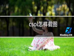 csol怎样截图