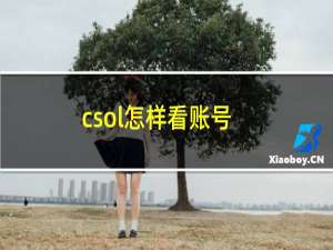 csol怎样看账号