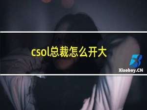 csol总裁怎么开大