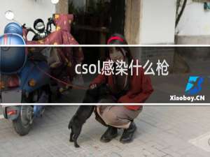 csol感染什么枪