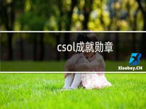 csol成就勋章