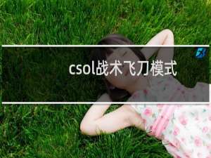 csol战术飞刀模式