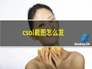 csol截图怎么发