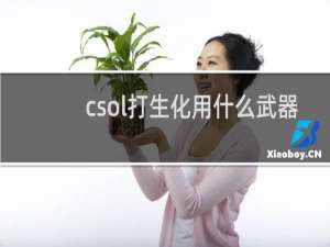 csol打生化用什么武器