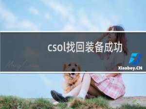 csol找回装备成功