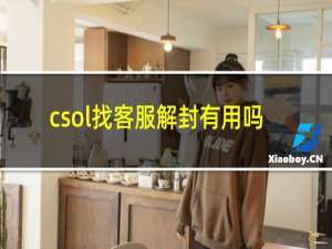 csol找客服解封有用吗