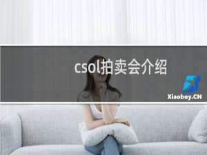 csol拍卖会介绍