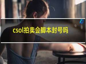 csol拍卖会脚本封号吗