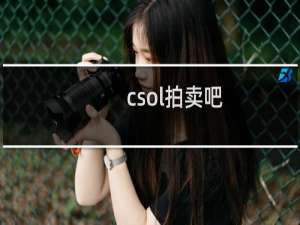 csol拍卖吧