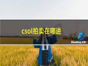 csol拍卖在哪进