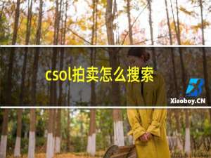 csol拍卖怎么搜索