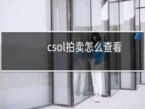 csol拍卖怎么查看