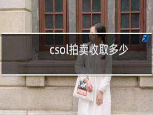 csol拍卖收取多少